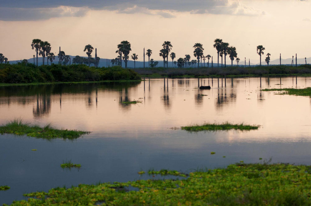 Selous Game Reserve