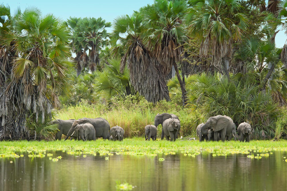Selous Game Reserve
