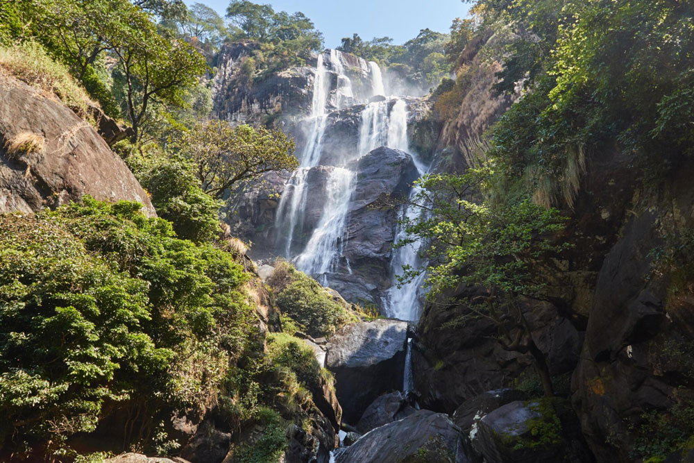 Udzungwa Mountains National Park