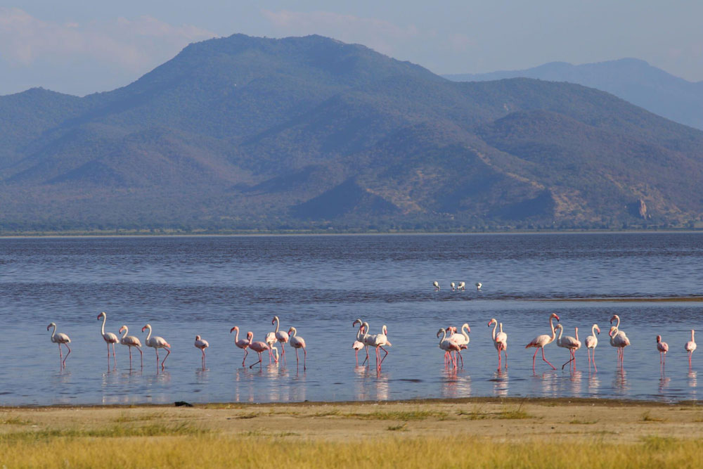 Lake Manyara National Park