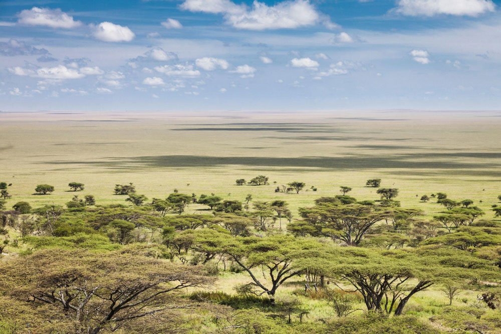 Serengeti National Park