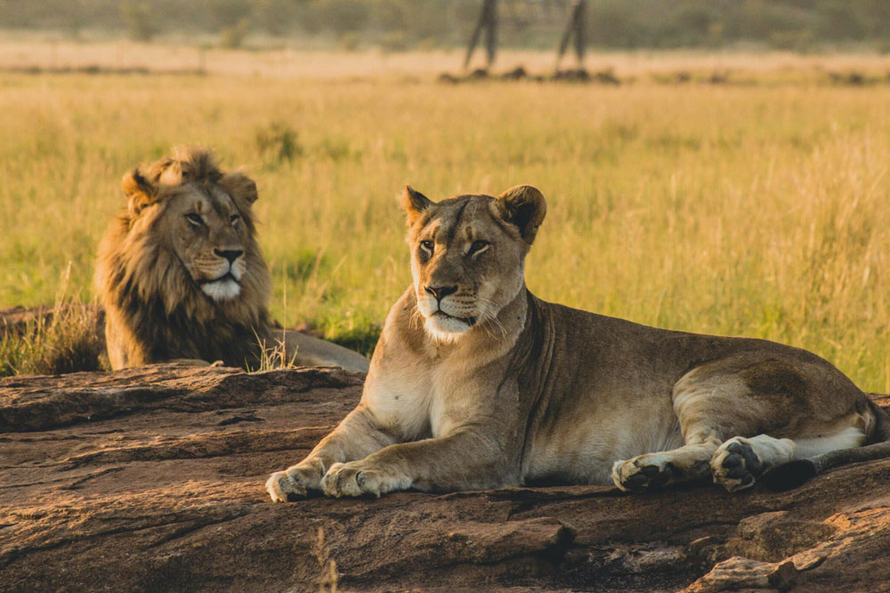 Serengeti National Park