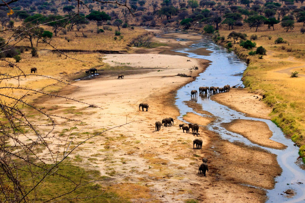 Tarangire National Park