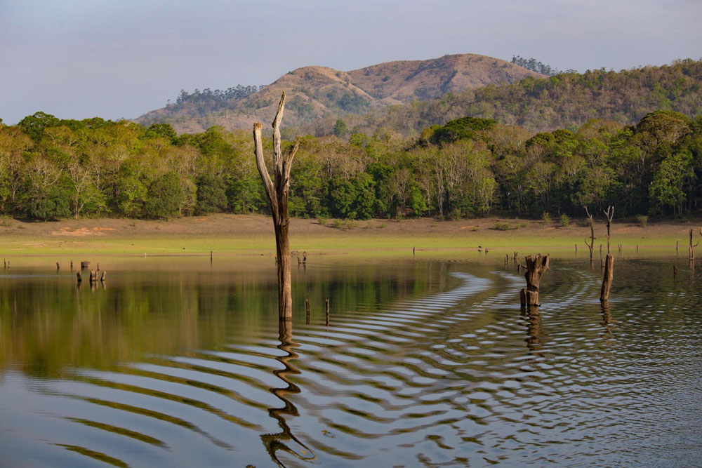Udzungwa-Mountains-National-Park-Tanzania-Safari-4