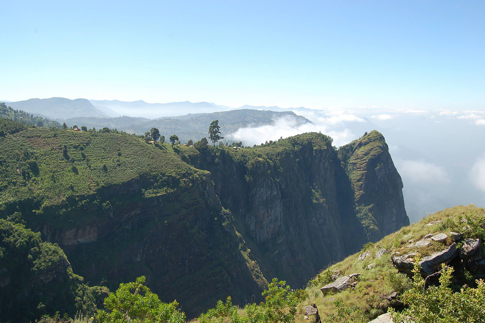 Usambara and Uluguru Mountains