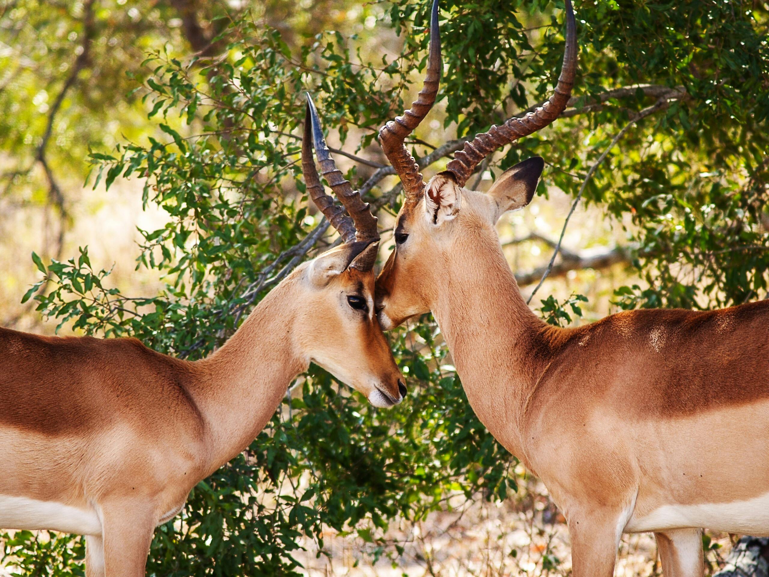 Tarangire National Park