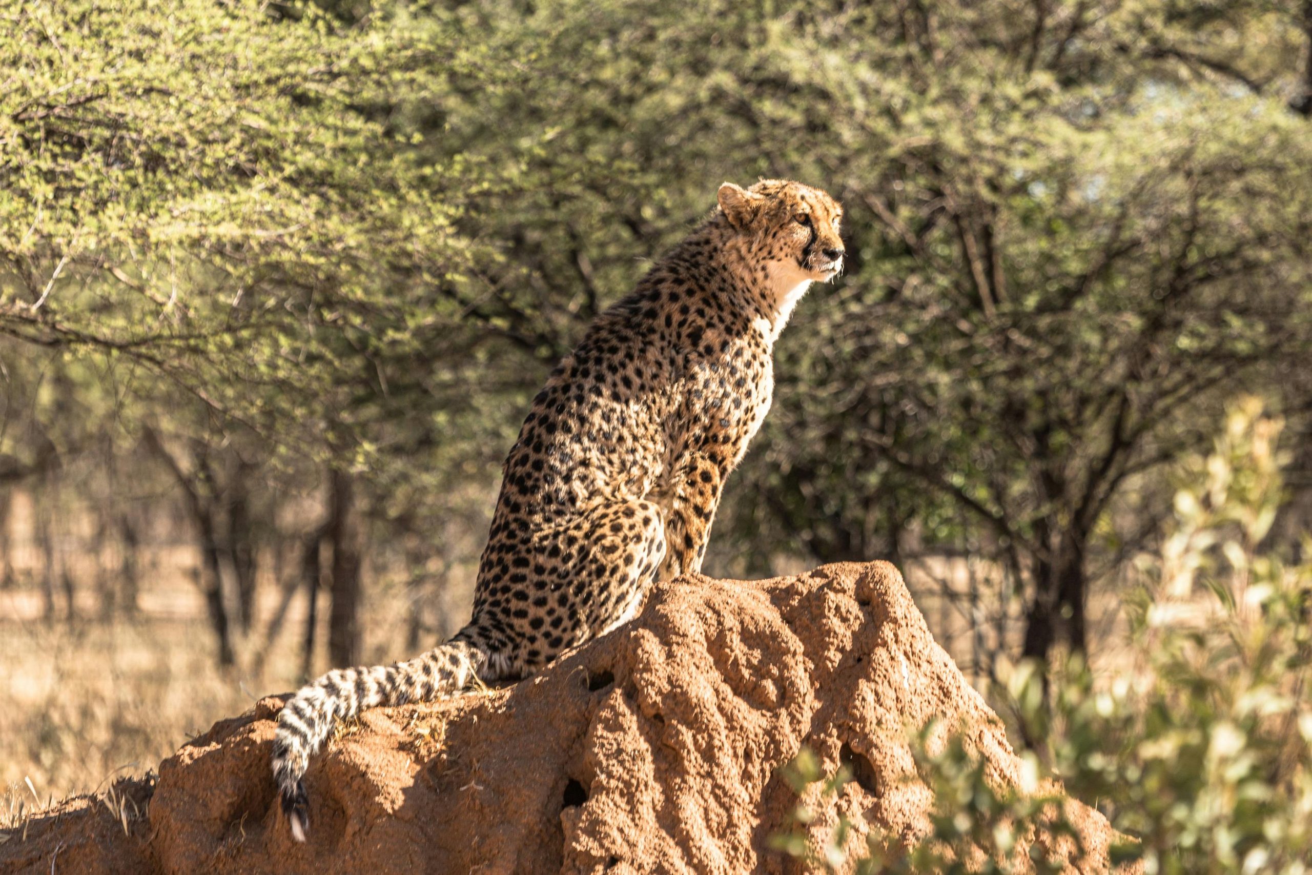 Serengeti National Park